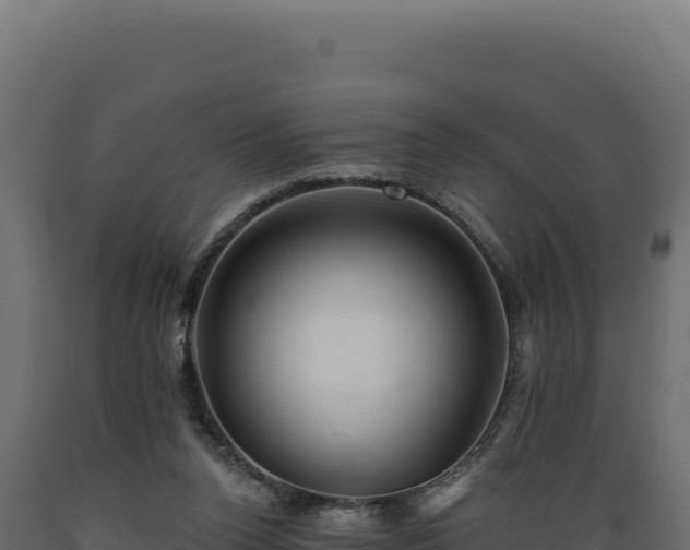 X0000089960160200707061147