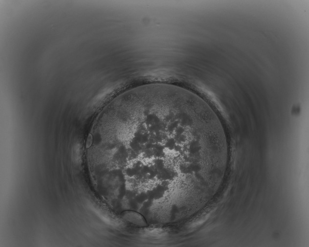 X0000089960161200707061147