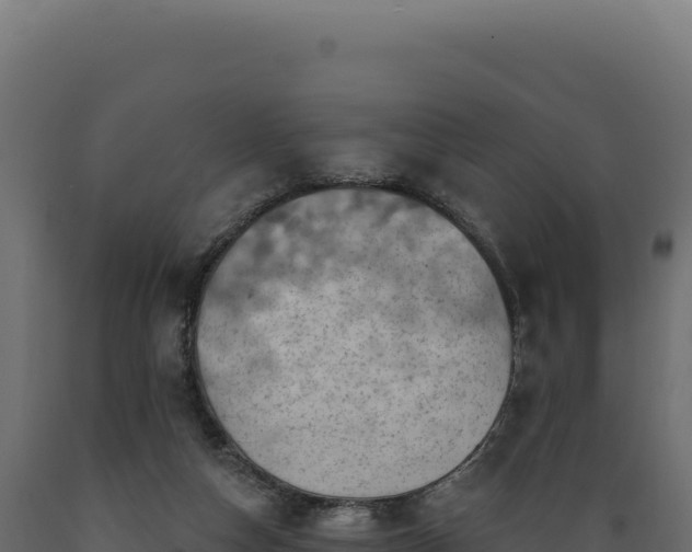 X0000089960162200707061147