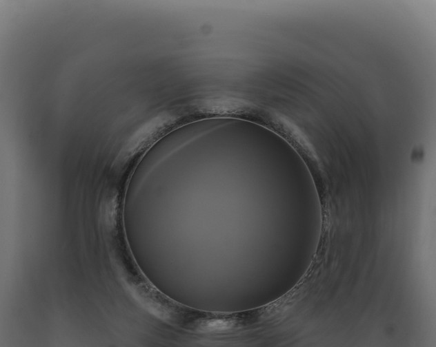X0000089960163200707061147
