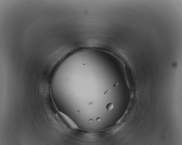 X0000089960164200707061147