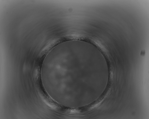 X0000089960165200707061147