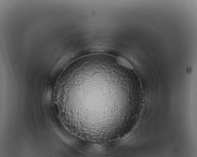 X0000089960166200707061147