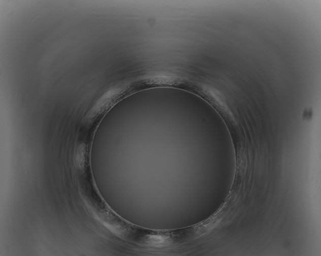 X0000089960167200707061147