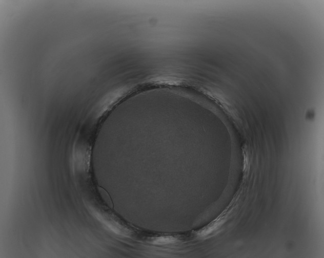 X0000089960168200707061147