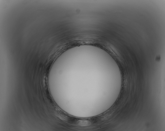 X0000089960169200707061147