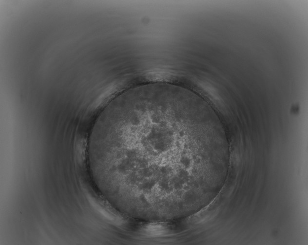X0000089960171200707061147