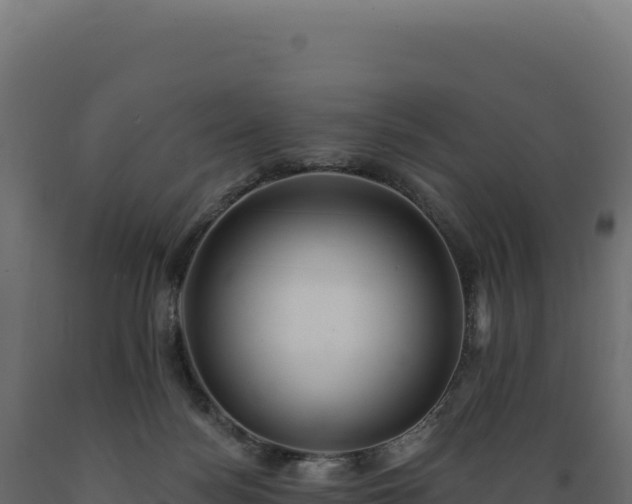 X0000089960172200707061147