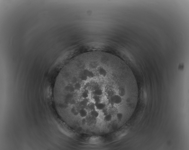 X0000089960173200707061147