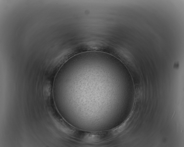 X0000089960174200707061147