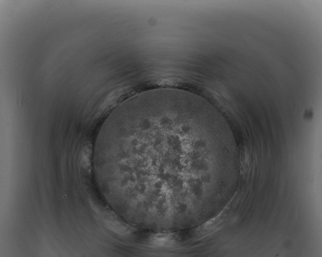 X0000089960175200707061147