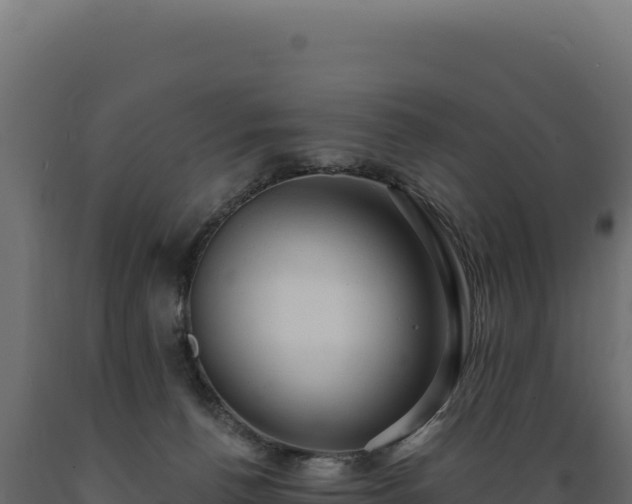X0000089960176200707061147