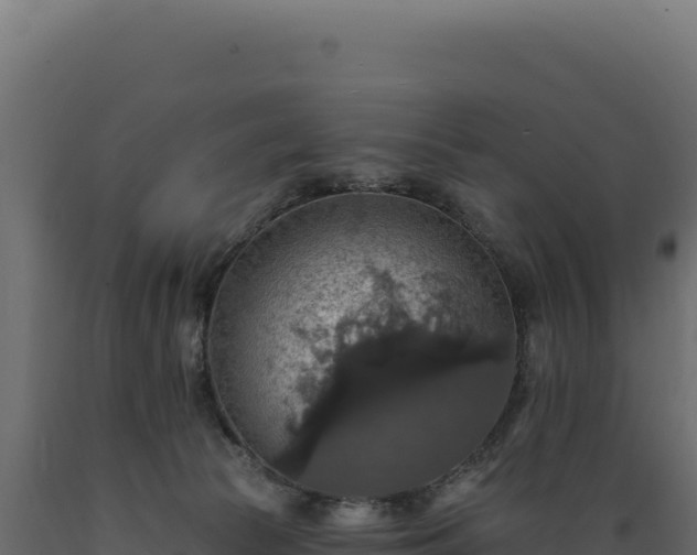 X0000089960177200707061147