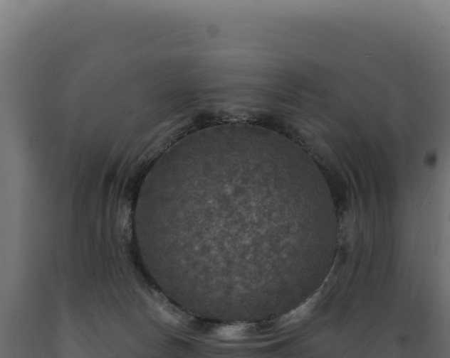 X0000089960178200707061147