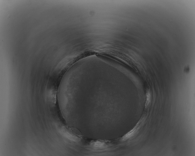 X0000089960180200707061147