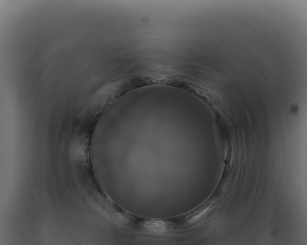 X0000089960181200707061147