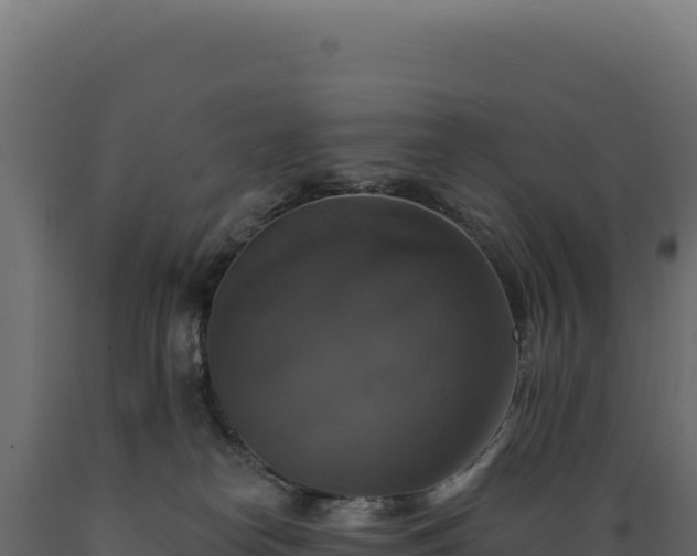 X0000089960182200707061147