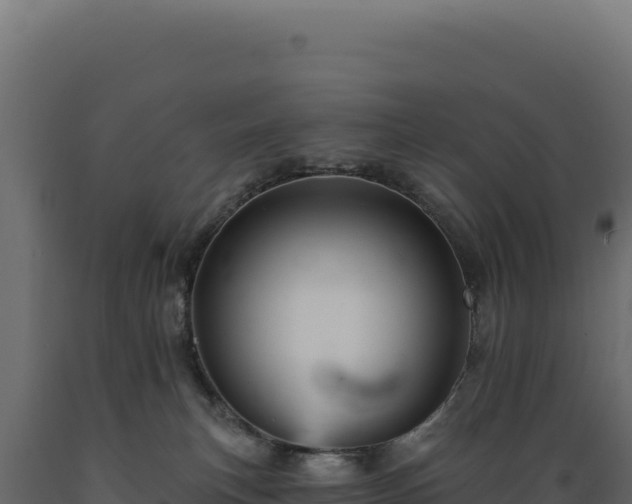 X0000089960183200707061147