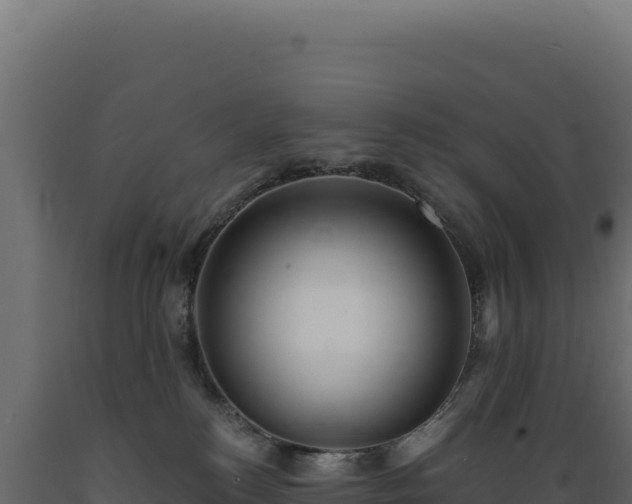 X0000089960184200707061147