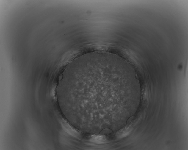X0000089960185200707061147