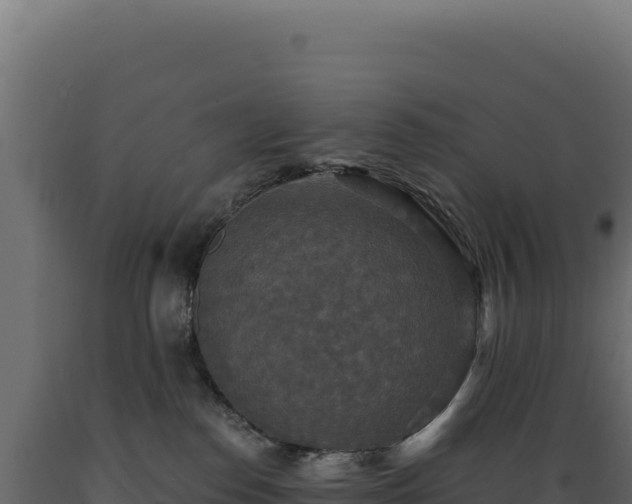 X0000089960186200707061147