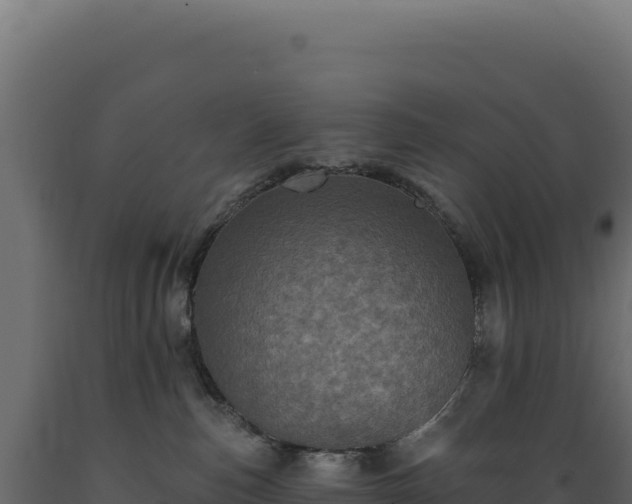 X0000089960187200707061147