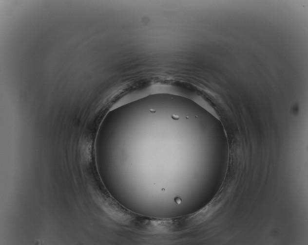 X0000089960188200707061147