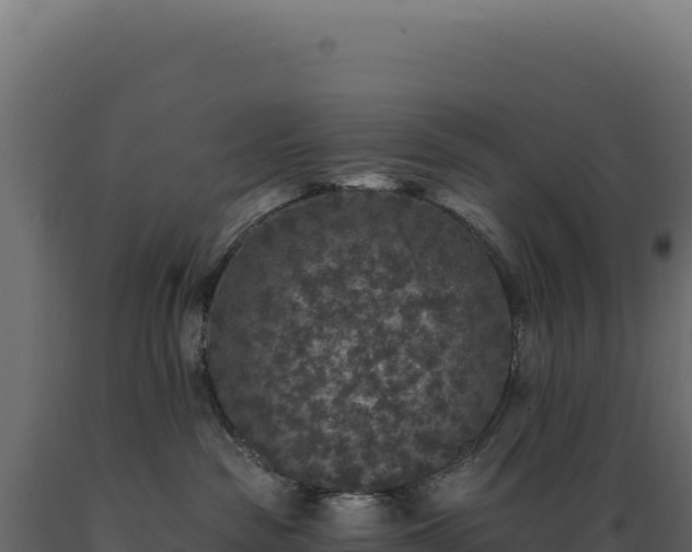 X0000089960189200707061147