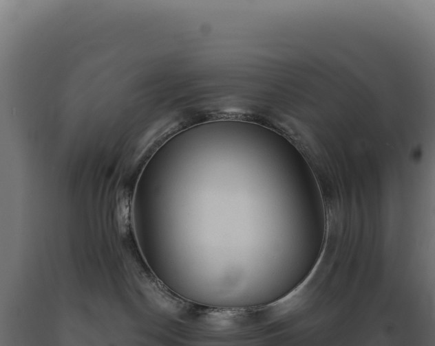 X0000089960190200707061147
