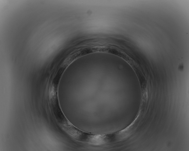 X0000089960191200707061147