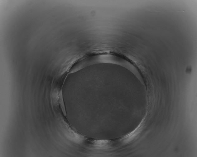 X0000089960192200707061147