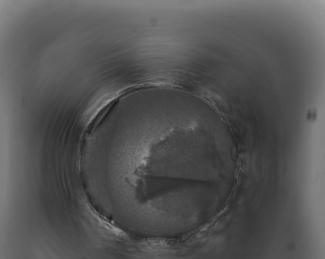 X0000089960194200707061147