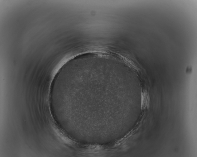 X0000089960195200707061147