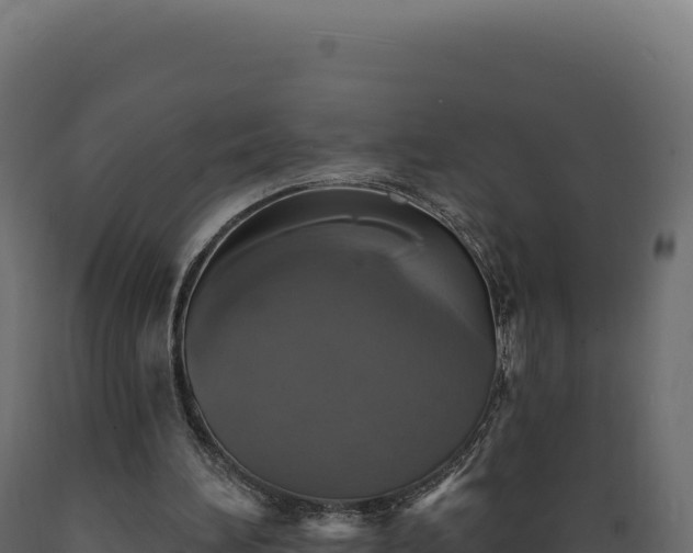 X0000089960196200707061147