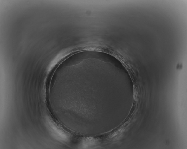 X0000089960198200707061147