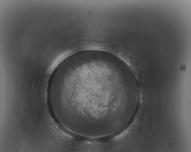 X0000089960199200707061147
