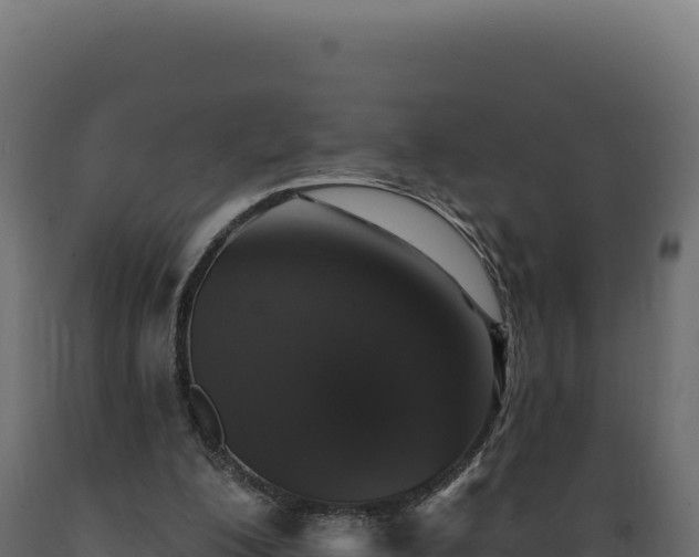 X0000089960200200707061147