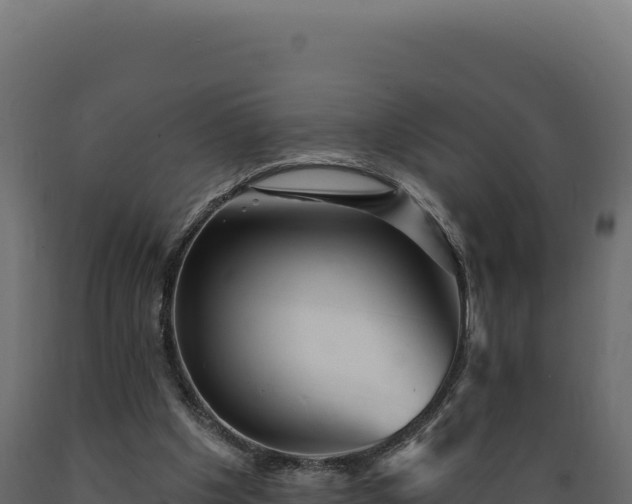 X0000089960201200707061147