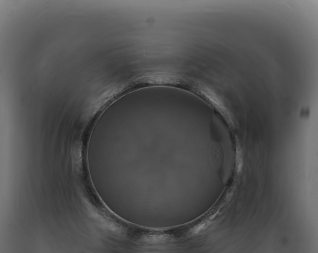 X0000089960202200707061147