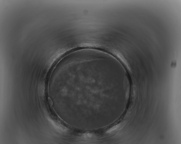 X0000089960204200707061147
