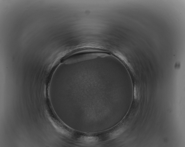 X0000089960205200707061147