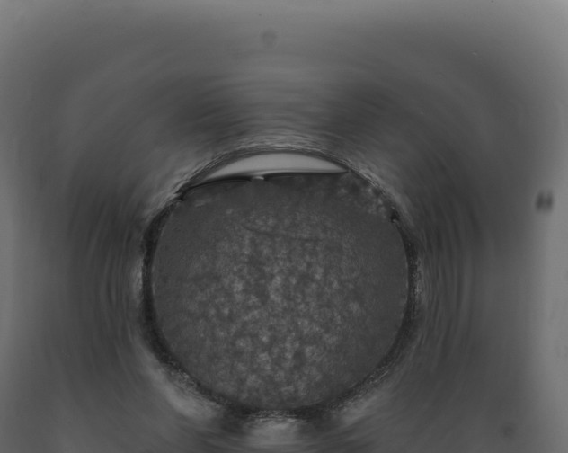 X0000089960206200707061147