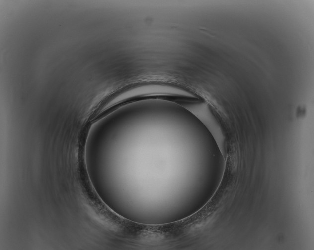 X0000089960207200707061147