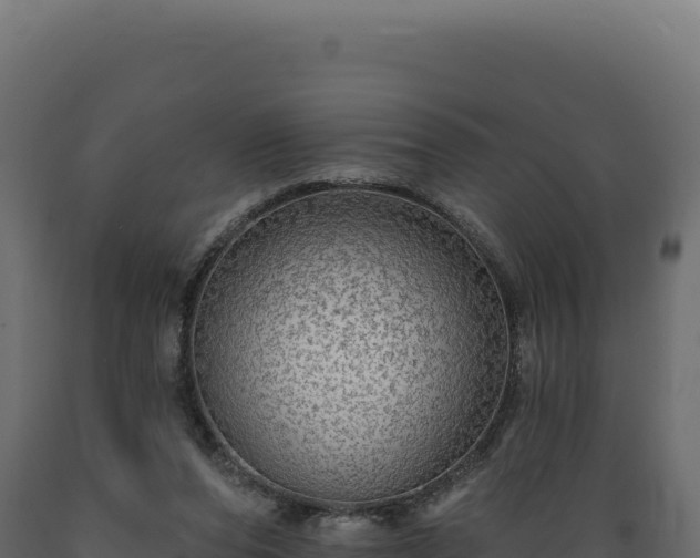 X0000089960208200707061147