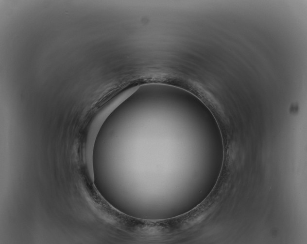 X0000089960209200707061147