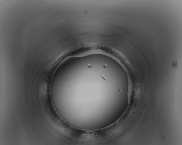 X0000089960211200707061147
