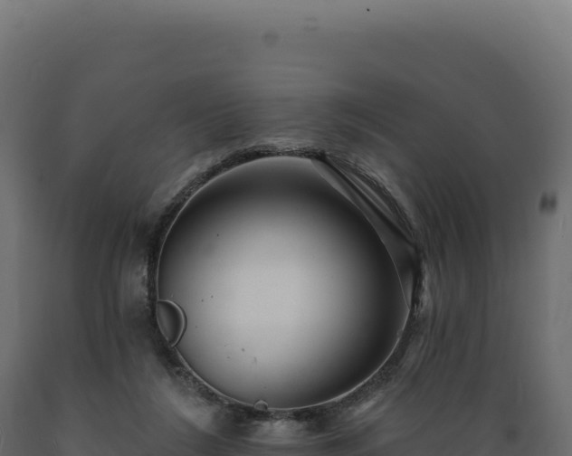 X0000089960212200707061147