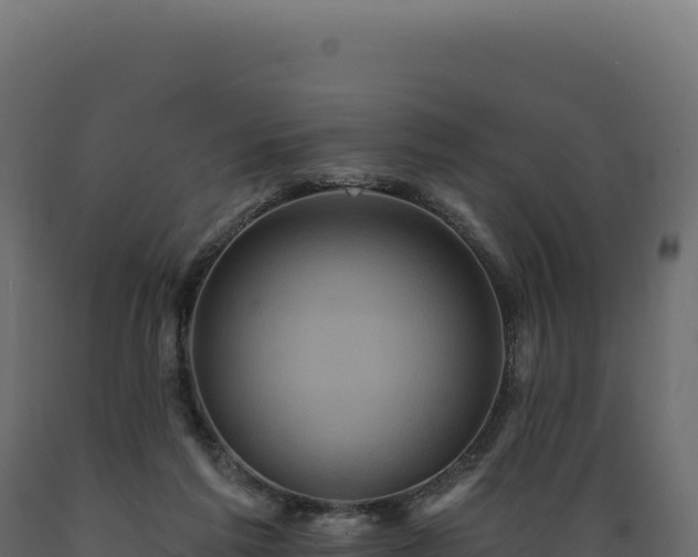 X0000089960213200707061147