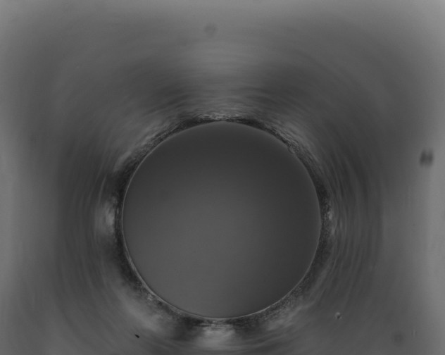 X0000089960214200707061147