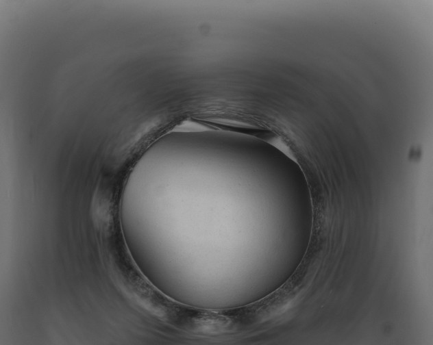 X0000089960215200707061147